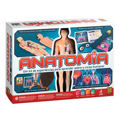 Anatomia